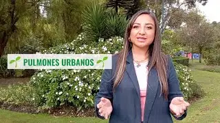 Ecuaterra: Pulmones Urbanos en Ecuador: Viveros que reproducen &aacute;rboles para la ciudad
