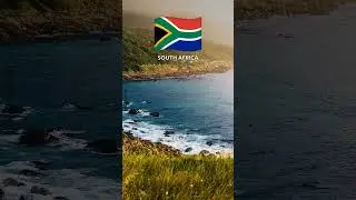 South Africa's Flag: A Beacon of Unity and Democracy 🇿🇦 #shorts #flagwhisperer #southafrica