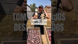 Tomates y ajos deshidratados. Otra manera de aprovechar lo que da la huerta