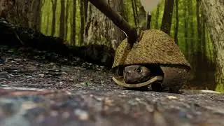 TortoiseTank (Blender)