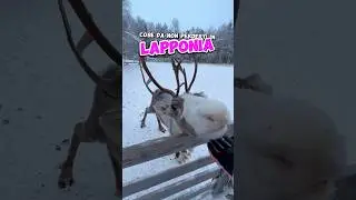 Cosa vedere in #Lapponia