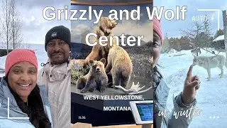 Exploring the Grizzly & Wolf Discovery Center: Up Close with Wildlife! West Yellowstone, Montana
