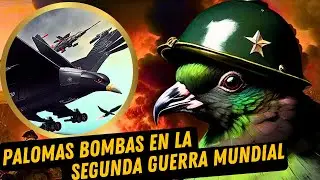 🕊️Proyecto ORCON: PALOMAS BOMBAS