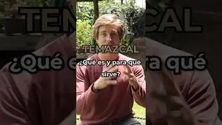 &iquest;Qu&eacute; es un Temazcal y para qu&eacute; sirve?