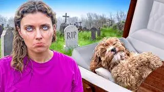 I Can&rsquo;t Believe this HAPPENED to my DOG...