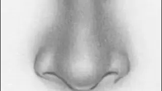 how to draw nose step by step/ nose drawing and shading realistic nose drawing / #nandakumararts