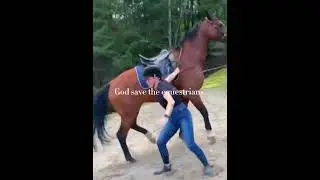 God save the equestrians || horse edit ||