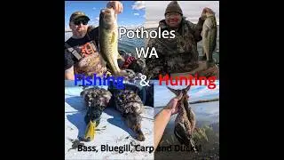 Potholes Reservoir II Bass, Bluegill, Carp fishing, And Duck CATCH N' COOK!