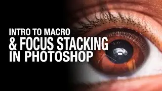 Введение в макрофотографию и фокусировку в Adobe Photoshop