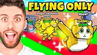 $0 To $1 TRILLION with FLYING ONLY  BRAINROTS