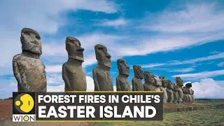WION Climate Tracker | Chile: Blaze causes irreparable damage to famous Moai statues