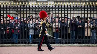 Royal Guard PUNISHMENT Parade at 4PM | Horse Guards | Royal guard | Kings Guard, Horse, London, 2024
