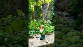 What&rsquo;s in the mind of a gnome #gnome #fantasy