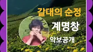 갈대의 순정(박일남)       계명창