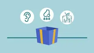 Health Insurance Product Tiers: Basic Category