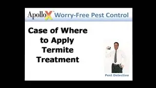 Best Termite Treatment Application Technique