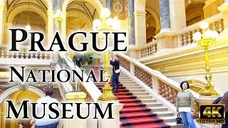 Prague National Museum Tour (4K) | Part 1 &ndash; Natural History Hall