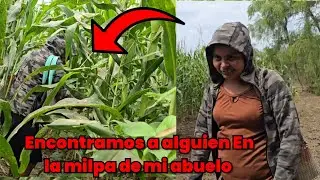 🚨Fuimos a ver las cosecha de mi abuelo Sin imaginar lo que encontraríamos 😱