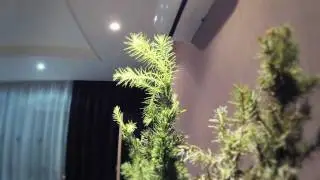 Тест камеры GoPro HD Hero2