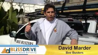 David Marder of Bee Busters Testimonial for Bliss Drive