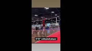 Tallest Female Volleyball Player Video For WhatsApp Status