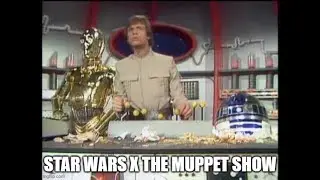Does The Palisades Muppets Swinetrek Playset work with Star Wars Black Series Figures?