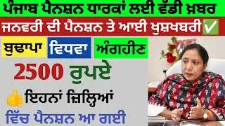 2500 ਪੈਨਸ਼ਨ #2500Pension #pension #bhagwantmann #oldagepension #punjabinews #punjabnaws#punjabpension
