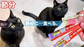 節分チャレンジ｜チュールを静かに食べられるのか？