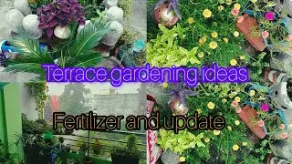 बिखर गया मेरा गार्डन #july #updates #fertilizerforplants #flowerarrangement #homegardeningtips #