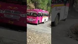 Vishal travels              #trending #himachal #shorts #trending #shimla #reels