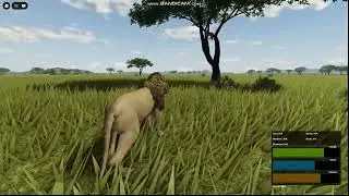 True Leopard Killer | Wild Savannah