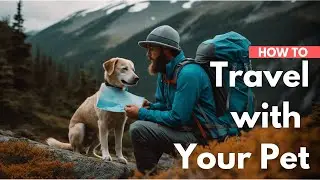 Traveling with Your Pet as a Digital Nomad