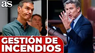 TENSI&Oacute;N entre PP y PSOE por la gesti&oacute;n de los INCENDIOS FORESTALES en ESPA&Ntilde;A y sus competencias