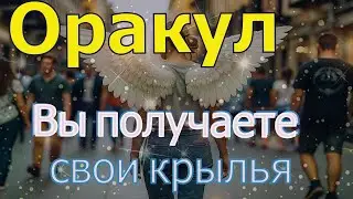 Вы получаете свои крылья ~ Оракул ~