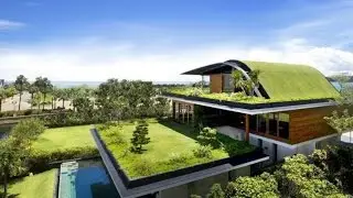 Green roofs are engineered, vegetated roof covers consisting of plants and growing media.