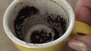 Leo May 8, 2023 Weekly Coffee Cup Reading by Cognitive Universe