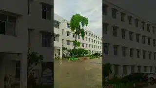#engineering #college #collegelife #campus #students /WhatsApp status #shorts #video #lucknow #india