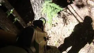Airsoft Pick-up Game At Local Field