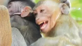 Janna Cries ...Janna Suddenly Get Weak & Hungry Steal Jody Milk