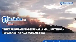 2 Hektar Hutan di Negeri Haria Maluku Tengah Terbakar; Tak Ada Korban Jiwa