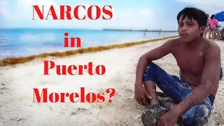 Narcos in Puerto Morelos?
