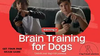 Unlock Amazing Results: Transform Your Dog&rsquo;s Behavior with Brain Training for Dogs!