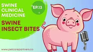 EP 13: Insect Bites in Swine | Causes, Identification & Veterinary Management | Pet Care Partners
