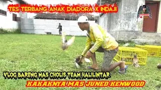 ❤️KAGET GIRINGNYA CEPRAT-CEPRET TES TERBANG ANAK DIADORA BIKIN NGILER SAYA‼️DI MAS CHOLIS HALILINTAR