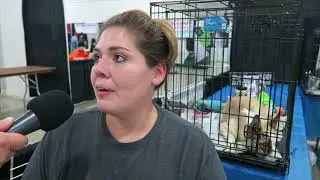 Bay Area Pet Fair 2017