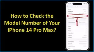How to Check the Model Number of Your iPhone 14 Pro Max?