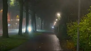 Peaceful Foggy Night Walk | Ambient Sounds for Deep Sleep & Relaxation (1 Hour)