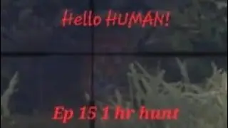 Deadly tigers are stalking me around every corner! - COTW 1 hr starter hunt Ep 15