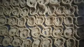 #شباكية#فيديو للاستفادة