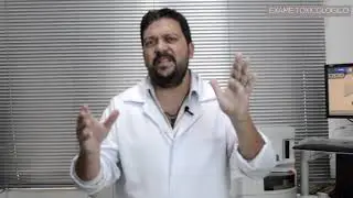 Etapas do Exame Toxicológico